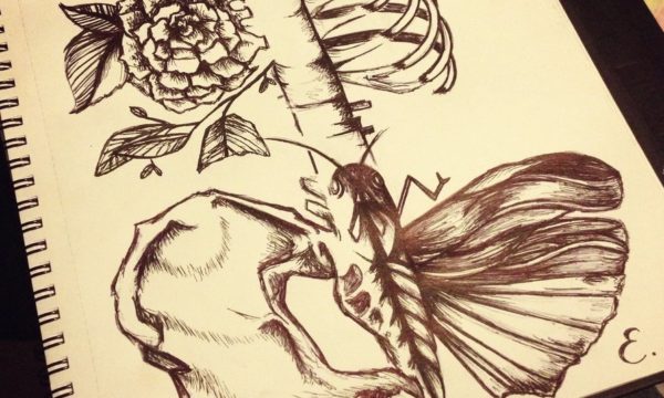 floral_anatomy_pen_sketch_by_estellegourlay-d681xm5 floral_anatomy_pen_sketch_by_estellegourlay-d681xm5